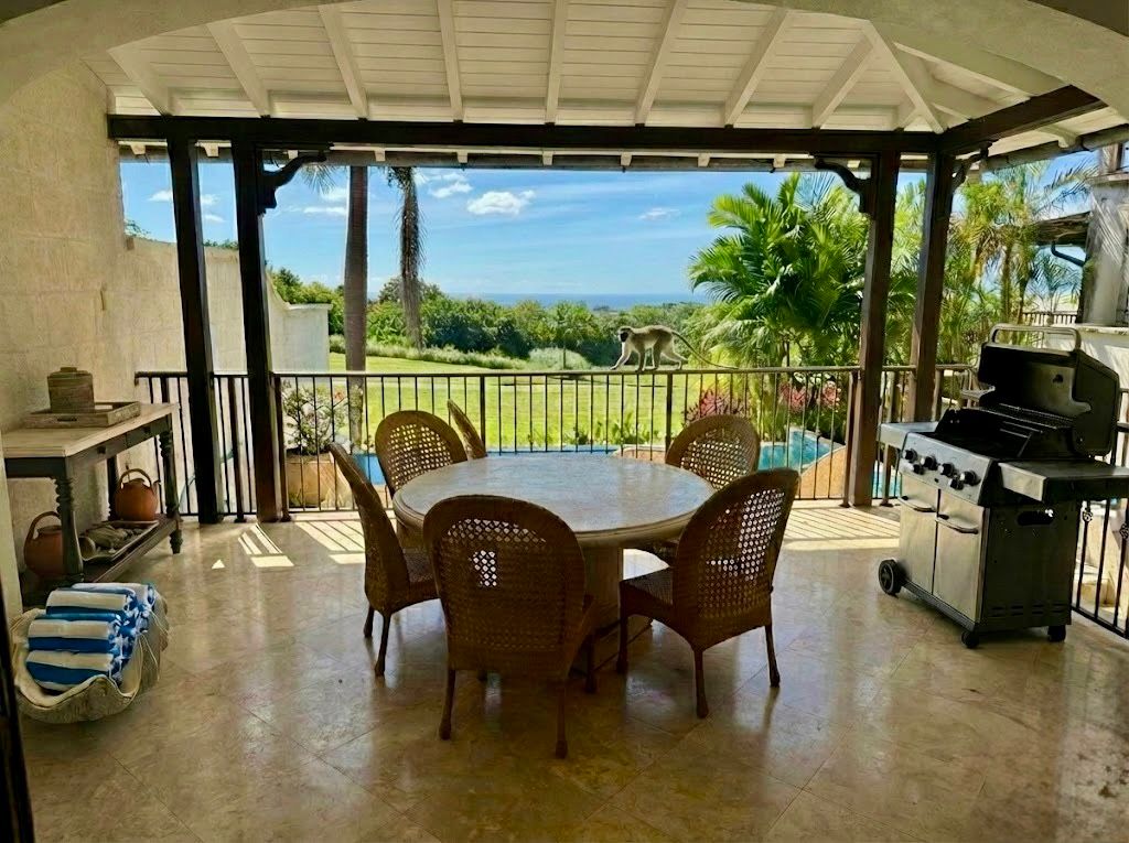 Outdoor dining terrace with BBQ